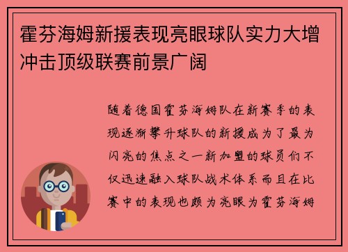 霍芬海姆新援表现亮眼球队实力大增冲击顶级联赛前景广阔