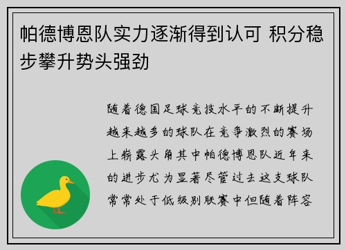 帕德博恩队实力逐渐得到认可 积分稳步攀升势头强劲
